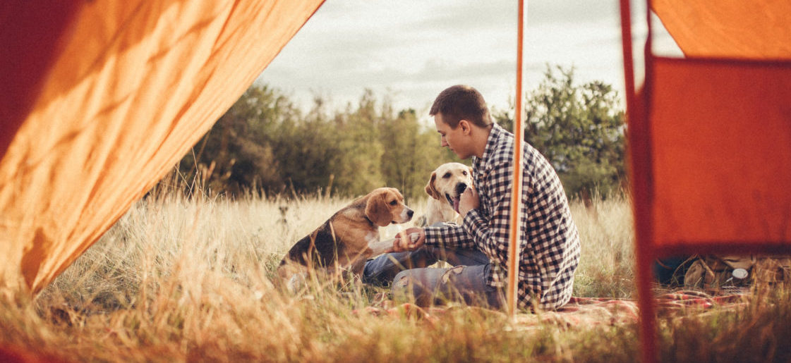 Camping With Your Pet